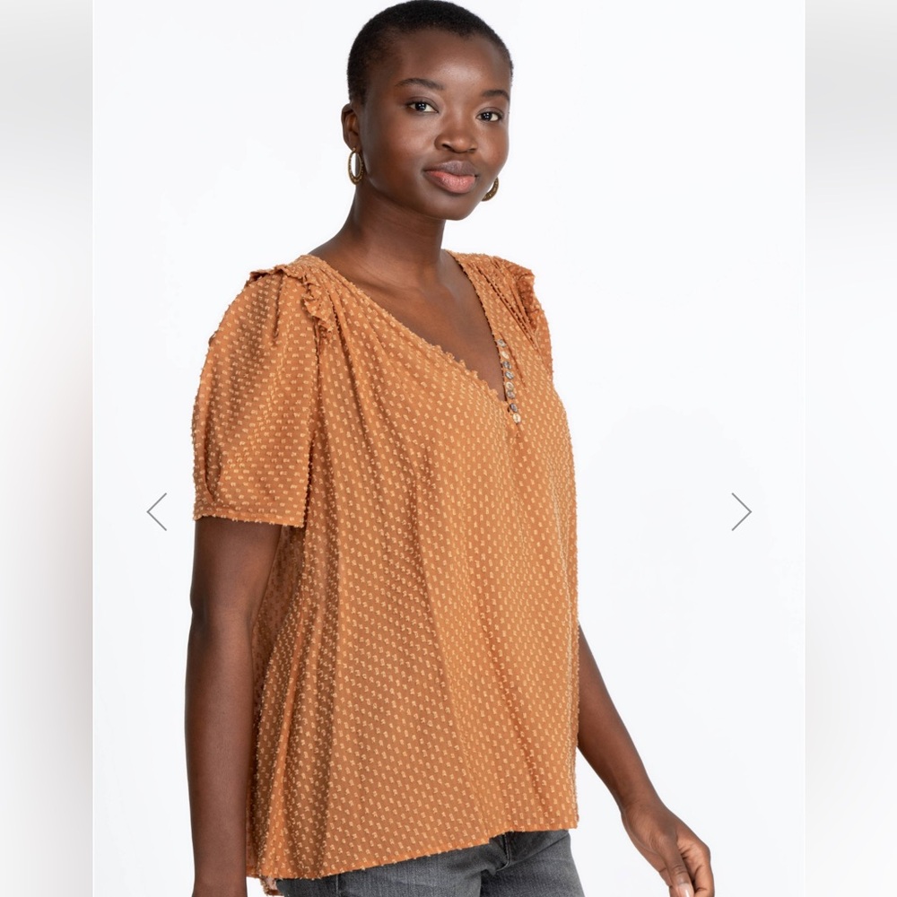 Johnny Was Archer Swiss Dot V-Neck Top